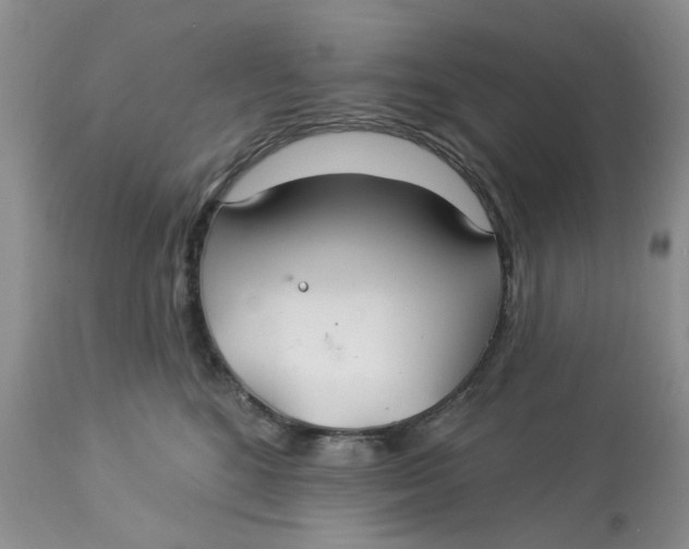 X0000113180520200909251445