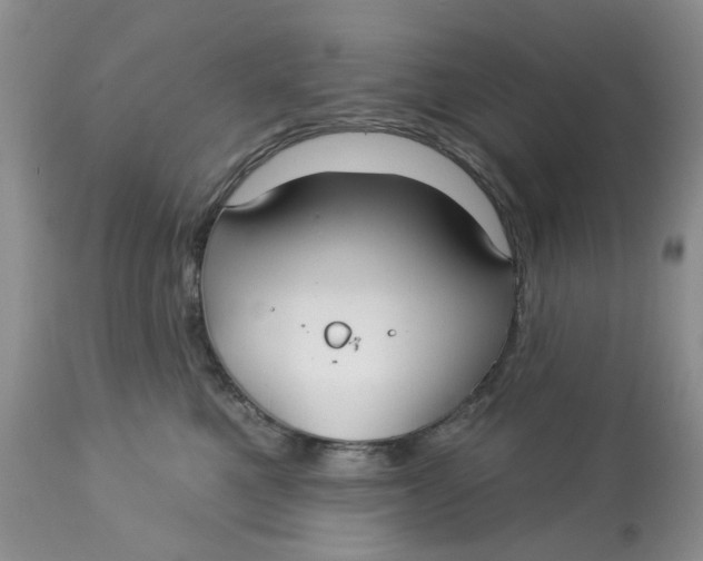 X0000113180521200909251444