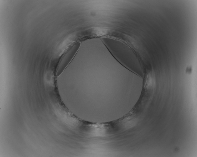 X0000113180524200909251444