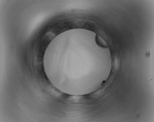 X0000113180526200909251444