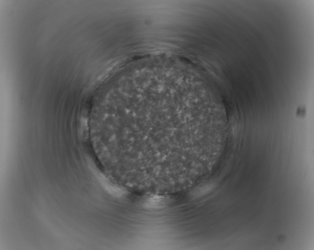 X0000113180527200909251444