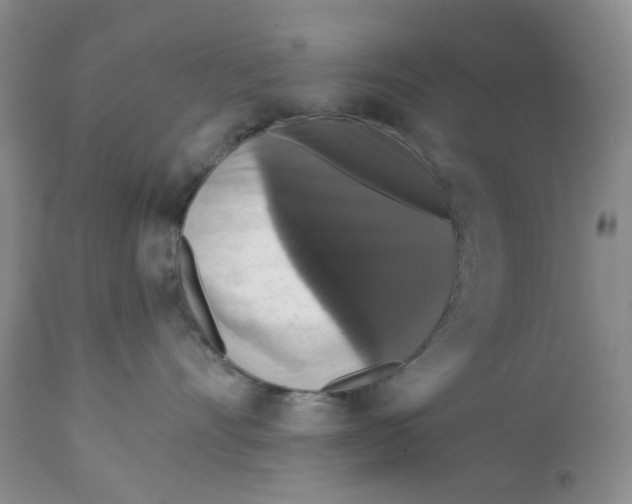 X0000113180528200909251444