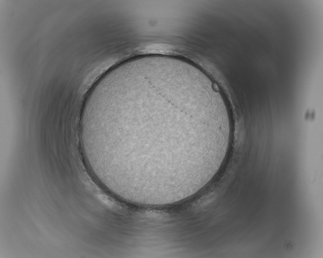 X0000113180529200909251444