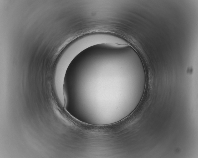 X0000113180530200909251444