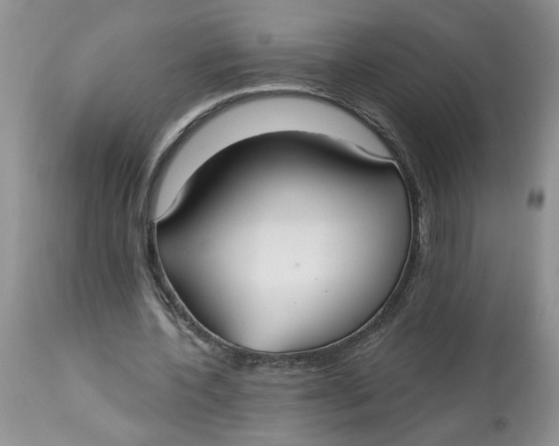 X0000113180532200909251444