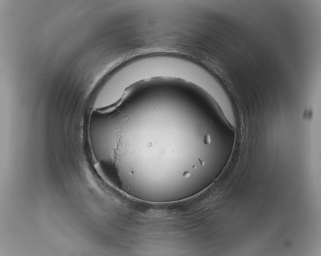 X0000113180534200909251444
