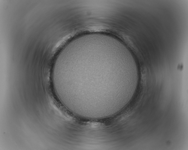 X0000113180539200909251444