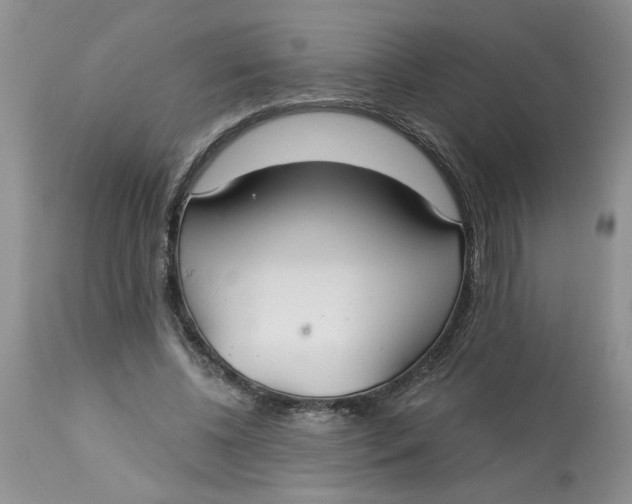 X0000113180540200909251444
