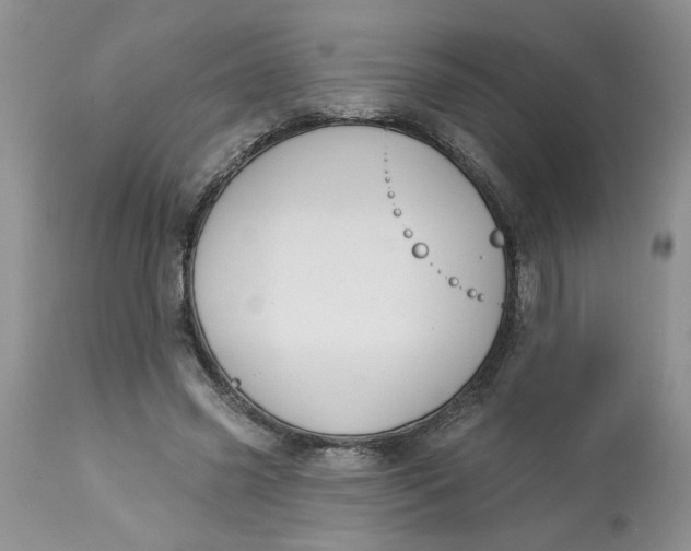 X0000113180541200909251444