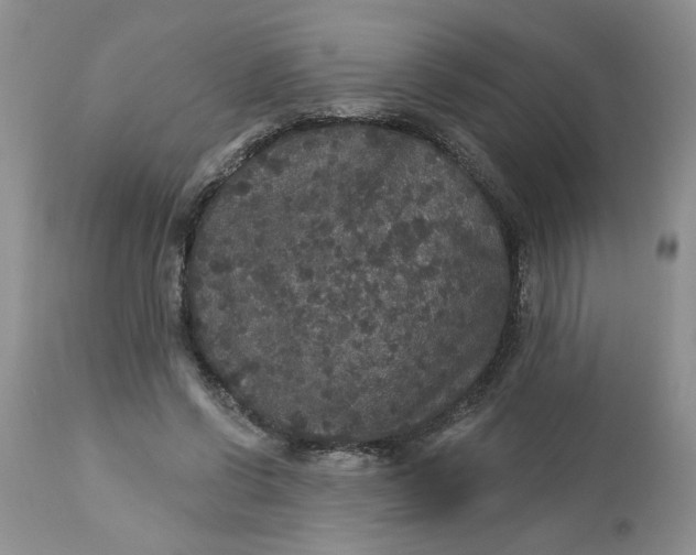 X0000113180542200909251444