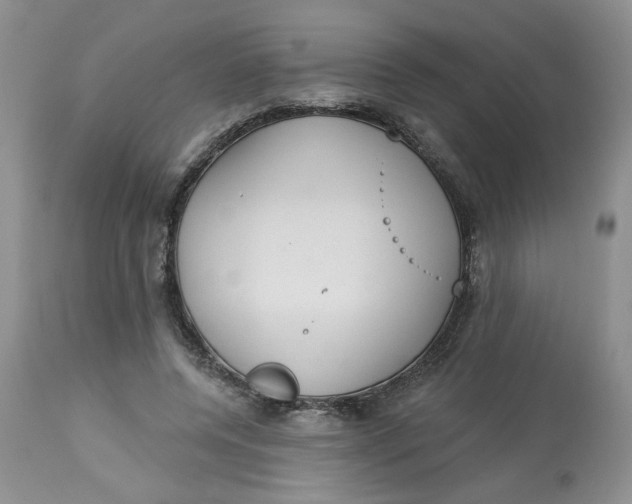 X0000113180544200909251444