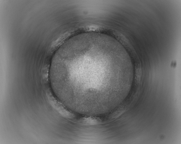 X0000113180545200909251444