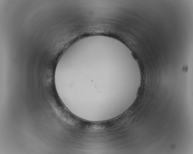 X0000113180546200909251444