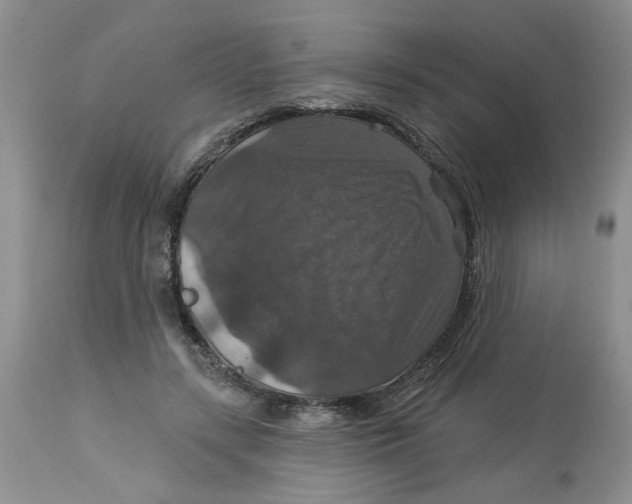 X0000113180547200909251444