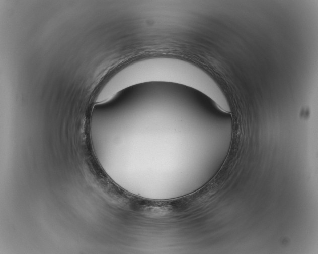X0000113180548200909251444