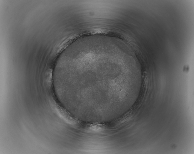 X0000113180550200909251444