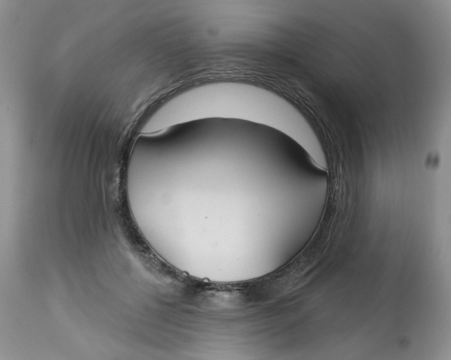 X0000113180552200909251444