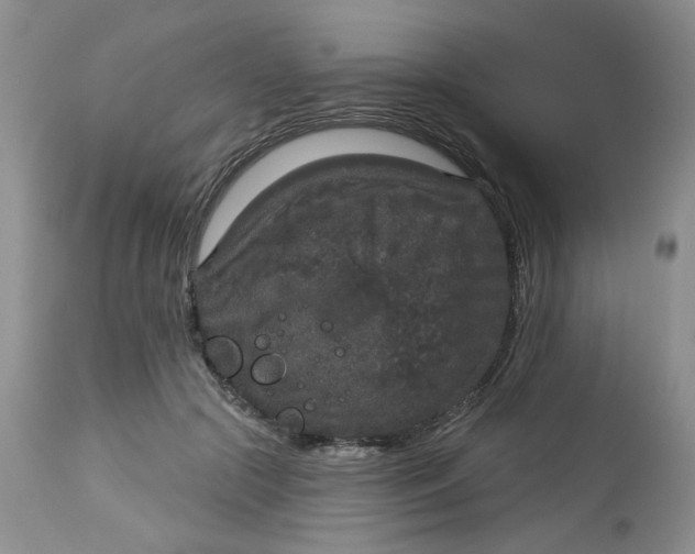 X0000113180553200909251444