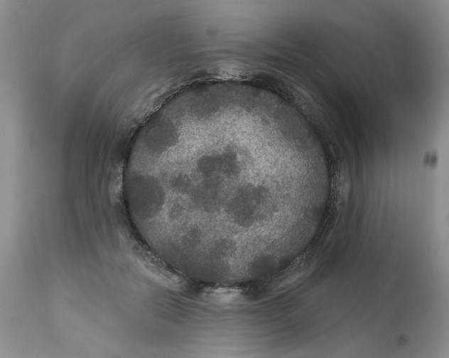 X0000113180554200909251444
