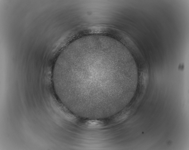 X0000113180557200909251444