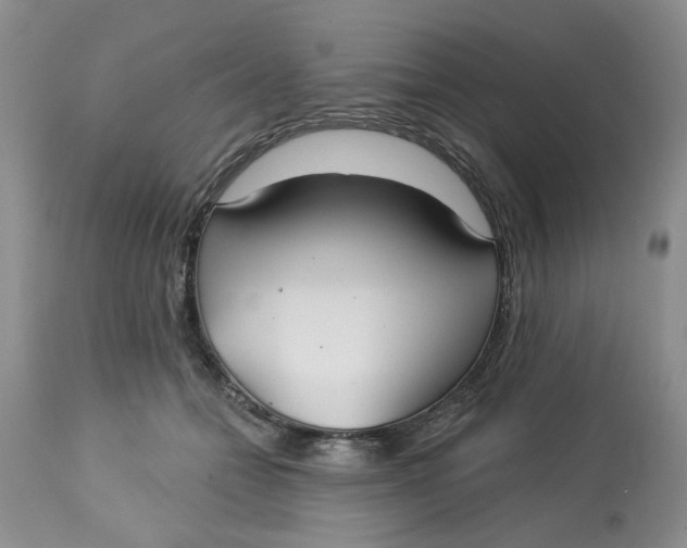 X0000113180558200909251444