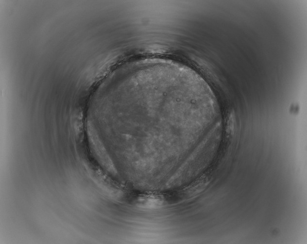 X0000113180559200909251444