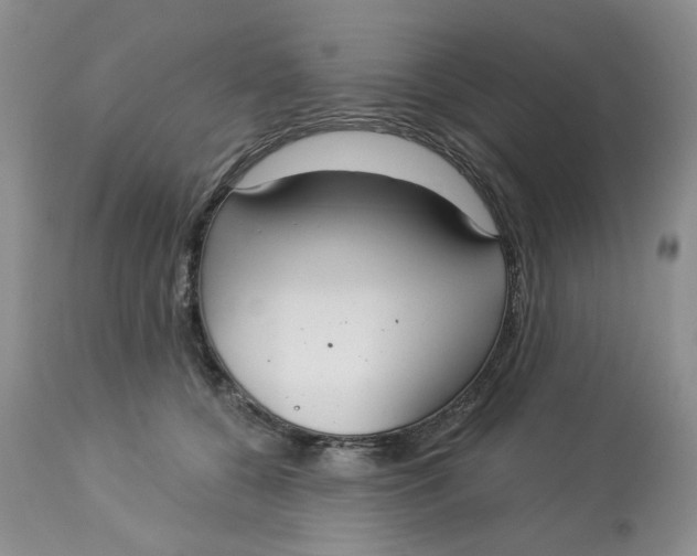 X0000113180560200909251444