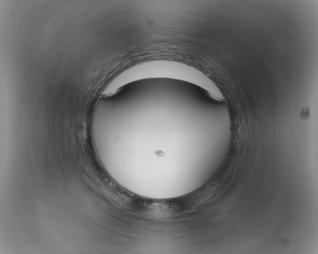 X0000113180562200909251444