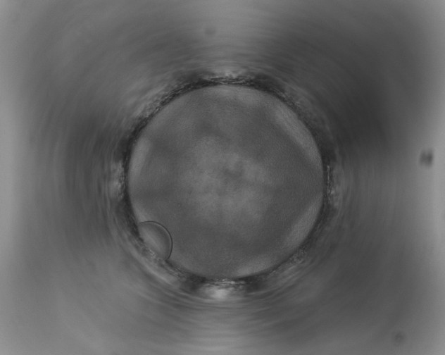 X0000113180563200909251444