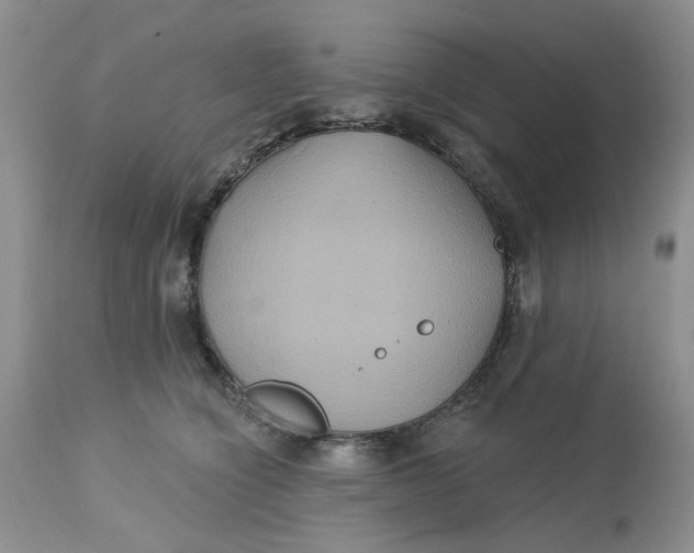 X0000113180564200909251444