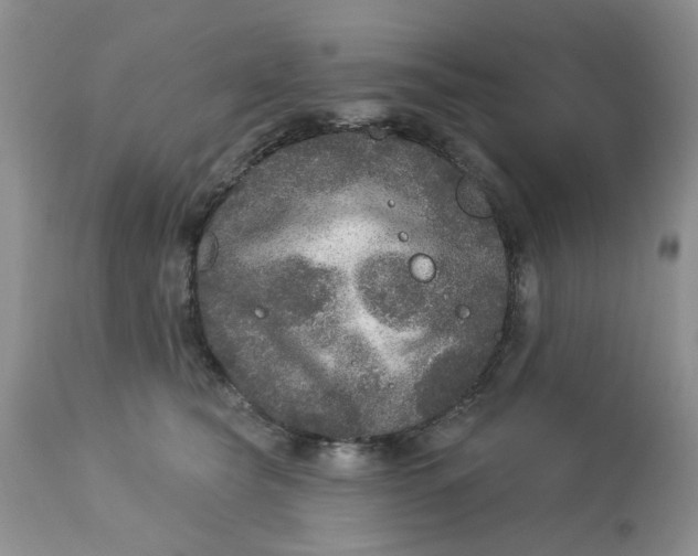 X0000113180565200909251444