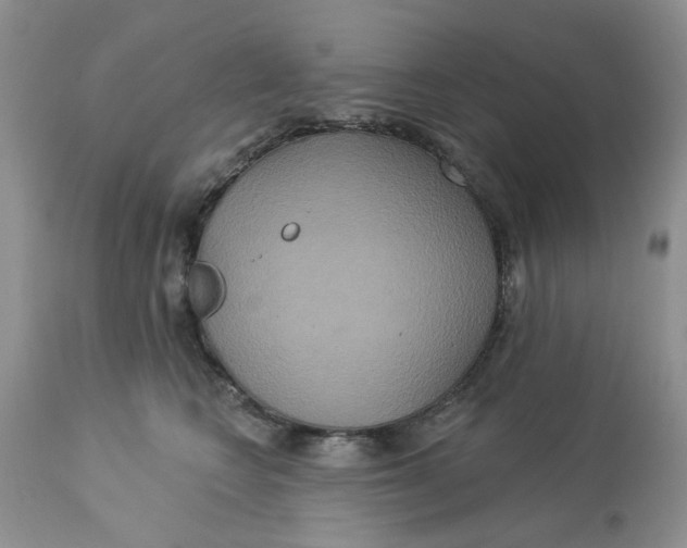 X0000113180566200909251444