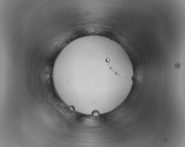 X0000113180567200909251444