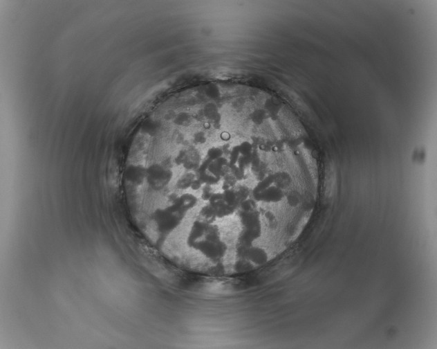 X0000113180569200909251444