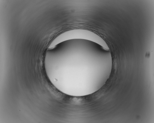 X0000113180570200909251444