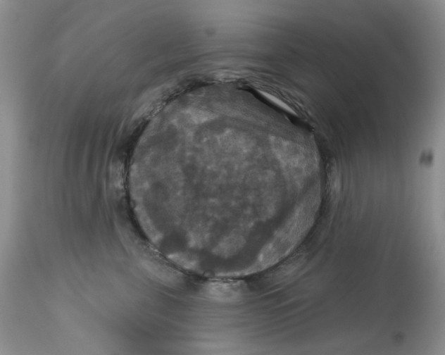 X0000113180571200909251444