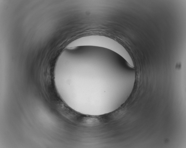 X0000113180572200909251444