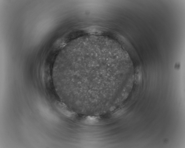 X0000113180573200909251444