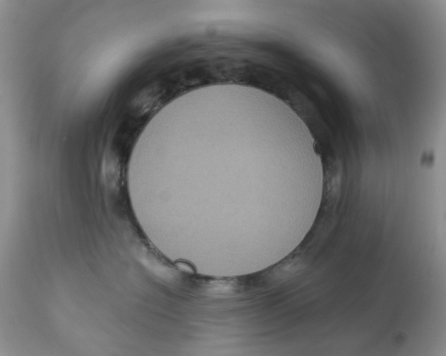 X0000113180574200909251444