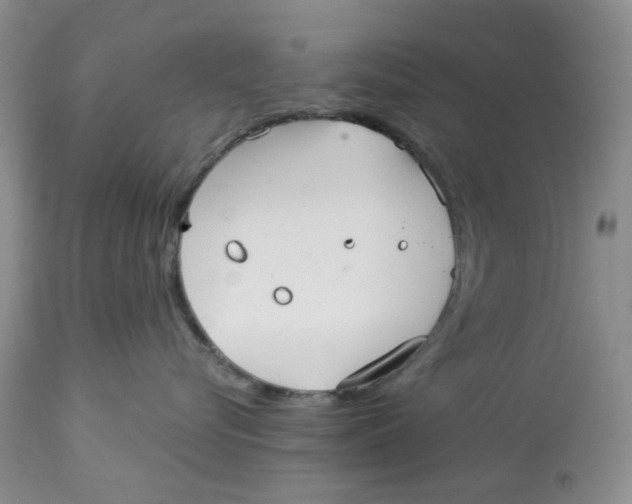 X0000113180576200909251444