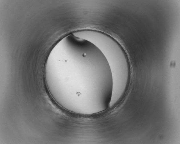 X0000113180577200909251444