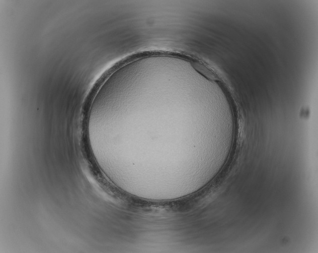 X0000113180580200909251444