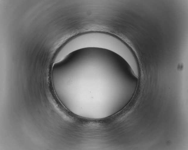 X0000113180581200909251444