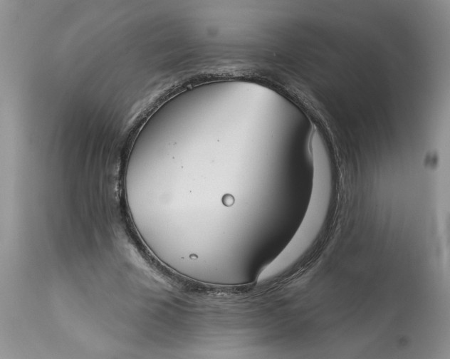X0000113180585200909251444