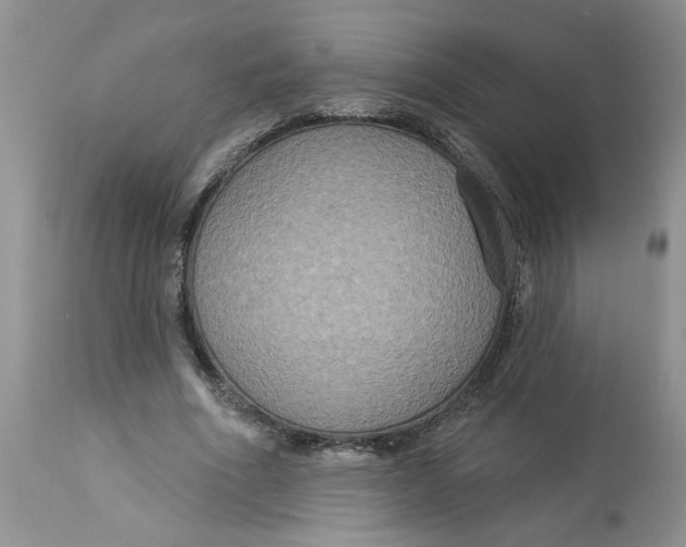 X0000113180586200909251444