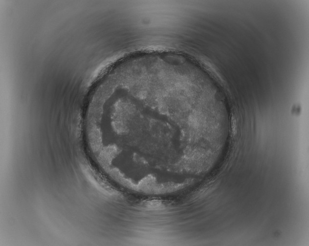 X0000113180588200909251444