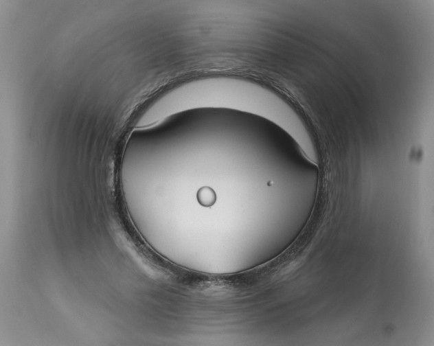 X0000113180589200909251444