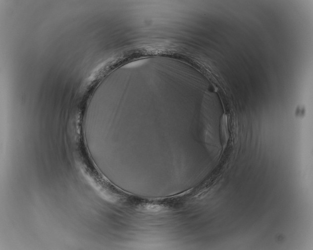 X0000113180590200909251444