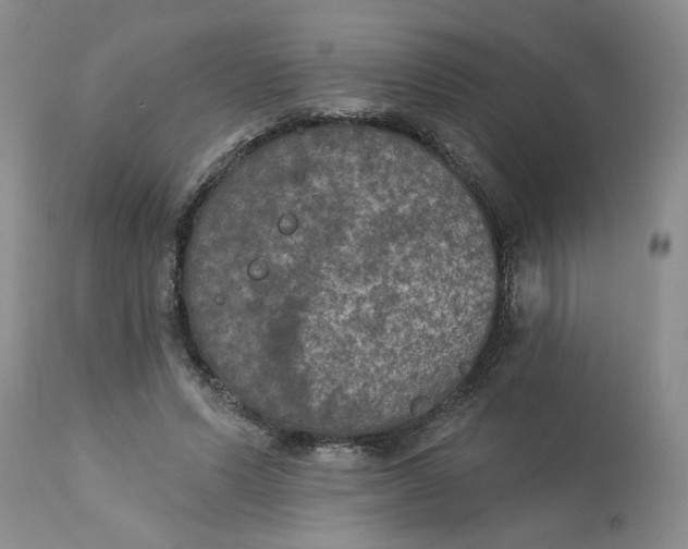 X0000113180591200909251444