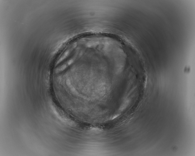 X0000113180592200909251444
